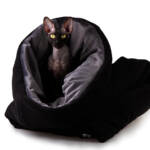 86. BG. SNUG M. Cozy cat bedroll