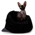 87. GB. SNUG S. Cozy kitten bedroll