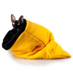 87. YB. SNUG S. Cozy kitten bedroll